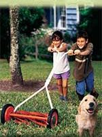 Natural Yard Care